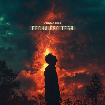 Vesna305 - Песни про тебя