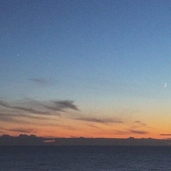 Dan Korshunov - More