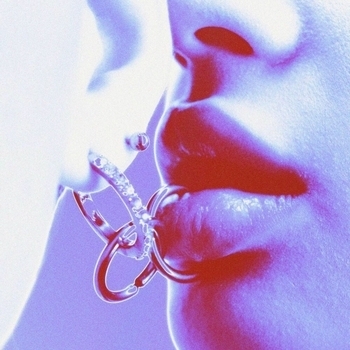 The Limba - Флиртуй (Palagin Remix) (2025) (Palagin remix)