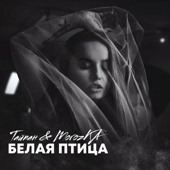 Morozka feat Тайпан - Белая птица (Single 2021)