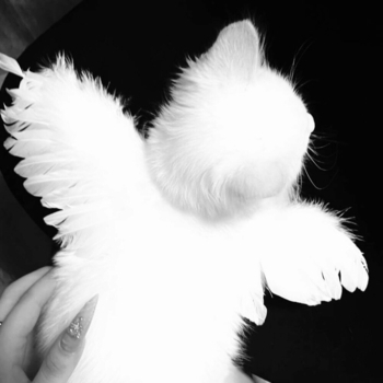 helvuxx - Nope your too late i already died - speed up