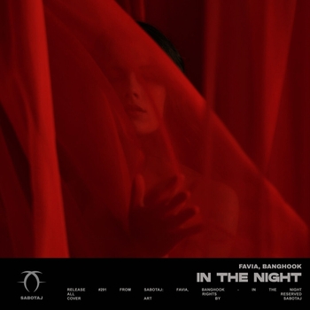 Favia feat Banghook - In the Night