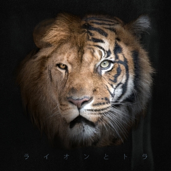 Janaga - Не из вашего круга (Single 2020)