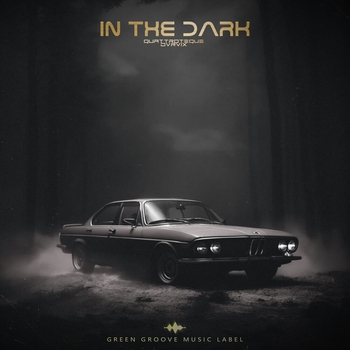 Quattroteque feat Dvrvix - In The Dark (2024)
