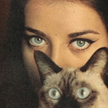 Dreamsoda - Music To Watch Boys To (Demo)