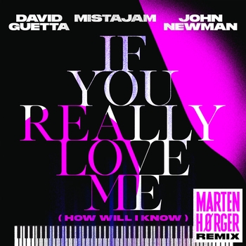 David Guetta - If You Really Love Me (How Will I Know) (Marten Hørger Remix)