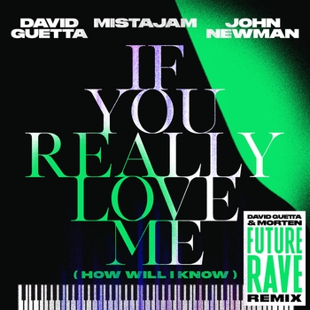 David Guetta - If You Really Love Me (How Will I Know) (David Guetta & MORTEN Future Rave Remix Extended)