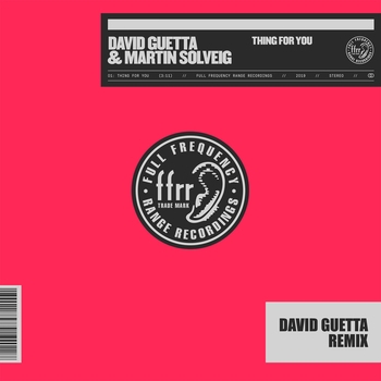 David Guetta and Martin Solveig - Thing For You