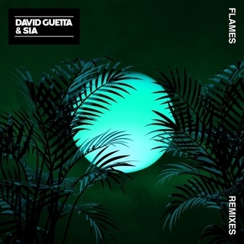David Guetta - Flames (Extended)