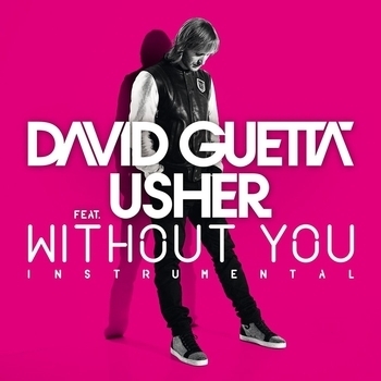 David Guetta - Without You (instrumental)