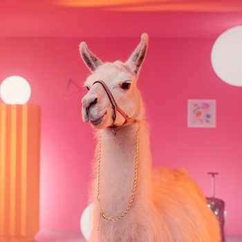 Rasa - По приколу