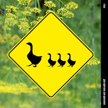 Rsac - Два притопа три прихлопа