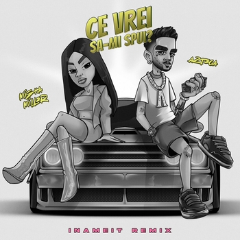 Misha Miller - Ce vrei sa-mi spui? (Inameit Remix)