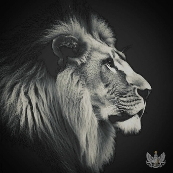 Adam Jamar - Movie (SLOWEED)