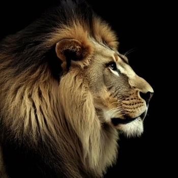 Adam Jamar and Quty1s - Movie