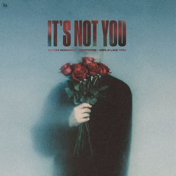 Vadim Adamov - It's Not You