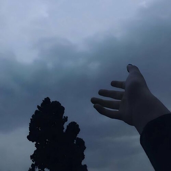 Gibran Alcocer - Idea 15