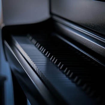 Gibran Alcocer - Solas