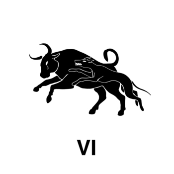 Тима ищет свет - шесть