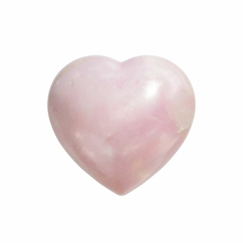 Тима ищет свет - Мир сошёл с ума