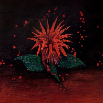 Коста Лакоста feat Iraida - Не шукай