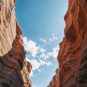 Altunin - Moody (2025)