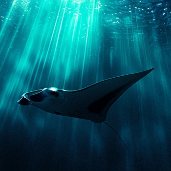 Altunin - Siento Acelera