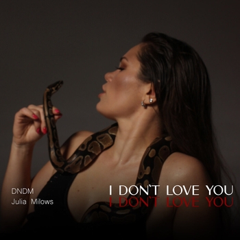 Dndm feat Julia Milows - I Don't Love You