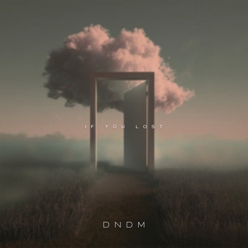 Dndm - If You Lost