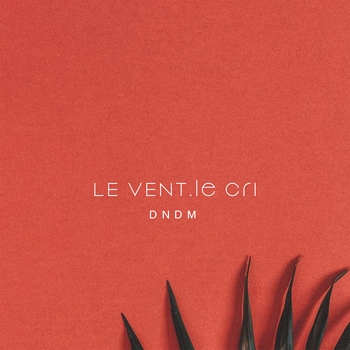 Dndm - Le Vent, le cri