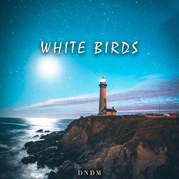 Dndm - White Birds
