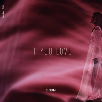 Dndm - If You Love (Single 2022)