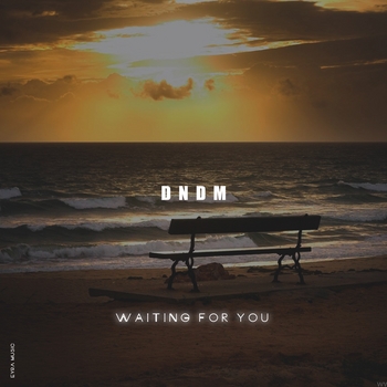 Dndm - Waiting For You