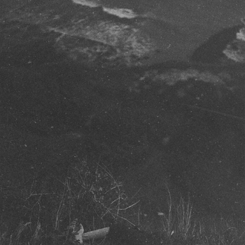 Pharaoh, White Punk - Unplugged 2: Love Kills