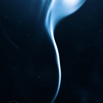 Autxmn Love - Appeasement