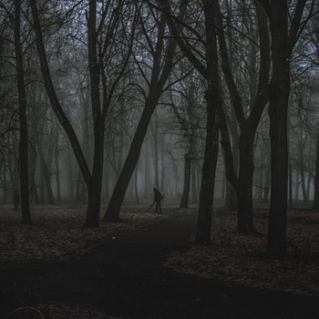 Autxmn Love - Memories