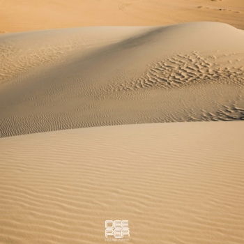 Dieez - Postman Horns