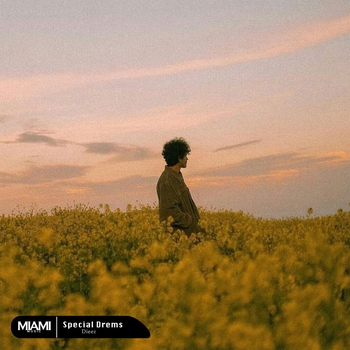 Dieez - Special Drems