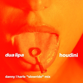 Dua Lipa - Houdini (Danny L Harle Slowride Mix)