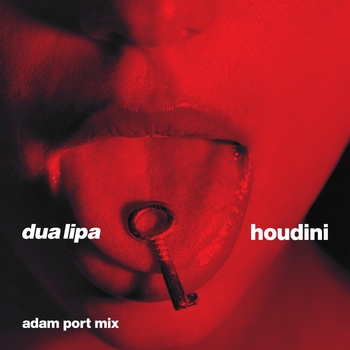 Dua Lipa - Houdini (Adam Port Mix) (2023) (Adam Port Mix)