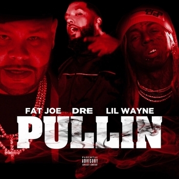 Lil Wayne - Pullin