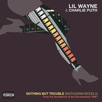 Lil Wayne - Nothing But Trouble (Instagram Models)
