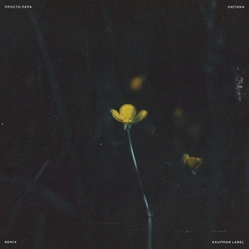 Просто Лера - Лютики (Remix) (Remix)