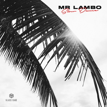 Mr Lambo - Slow Dance (Single 2020)