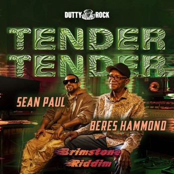 Sean Paul feat Beres Hammond - Tender Tender