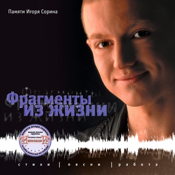 Игорь Сорин - Золотой ворон летел