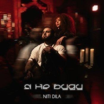Niti Dila - Я не буду