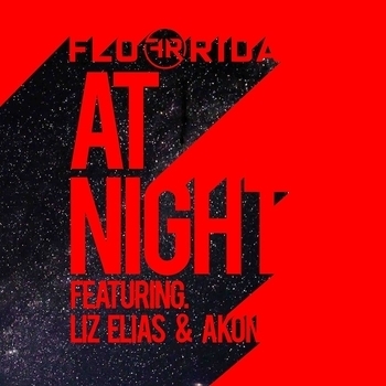Flo Rida - At Night (feat. Liz Elias and Akon) (Single 2016) (feat. Liz Elias and Akon)