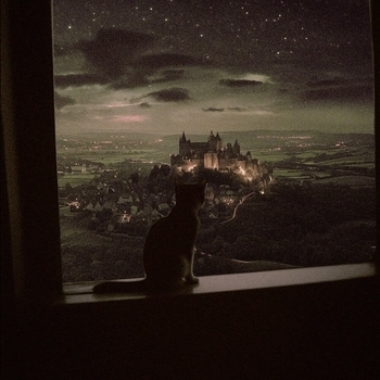 Альбом dreamland Money Flip