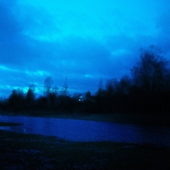 Money Flip - february sorrow